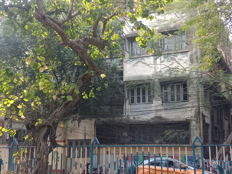 বিকাশ রায়