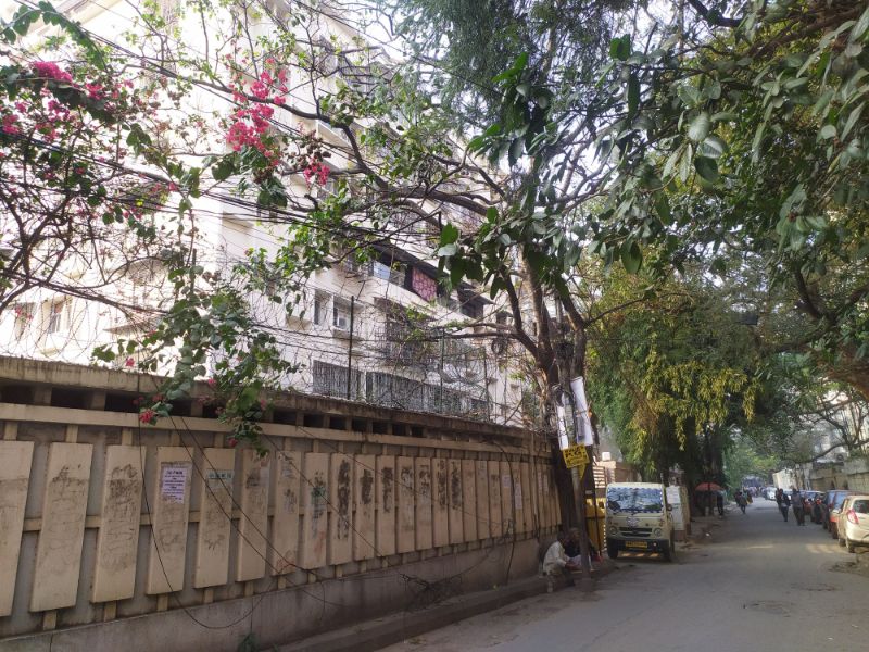সলিল চৌধুরী