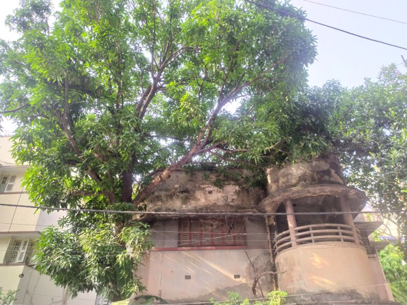 এস ডি বর্মন