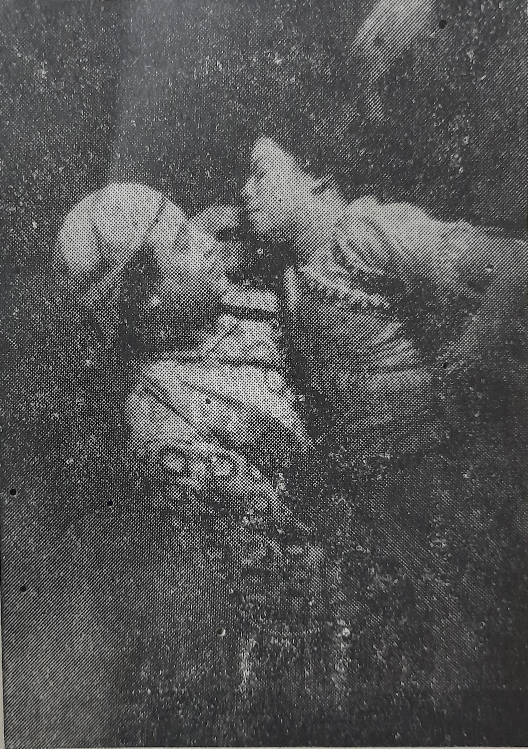 Sahadharmini