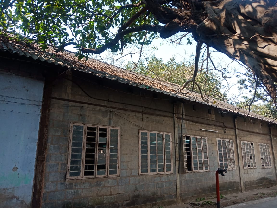 Bengal National Studio